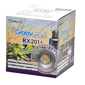 Amazon | ボルクスジャパン グラッシーレディオ RX201 サン